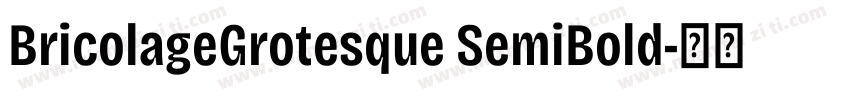 BricolageGrotesque SemiBold字体转换